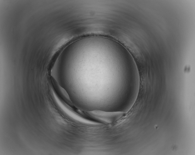 X0000094450112200711151436