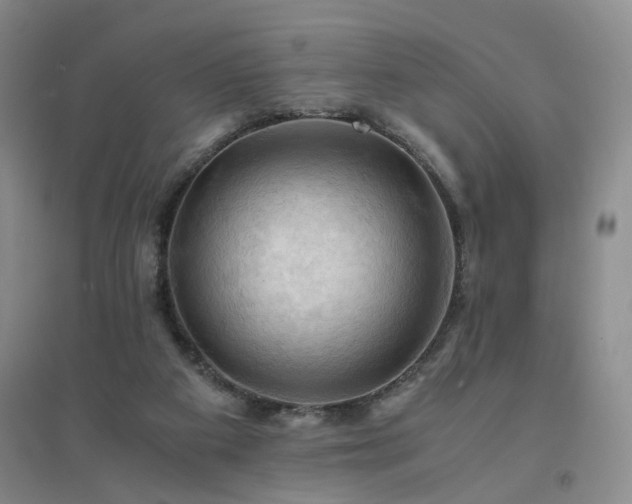 X0000094450113200711151436
