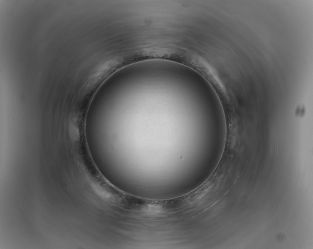 X0000094450114200711151436