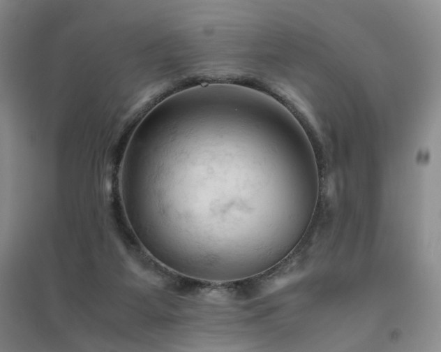 X0000094450115200711151436