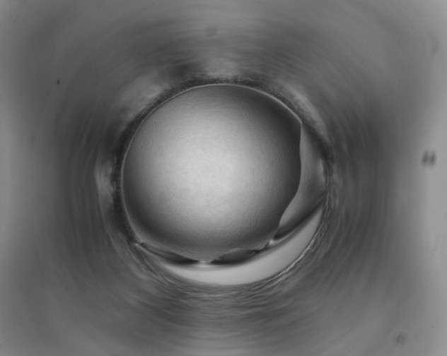 X0000094450116200711151436
