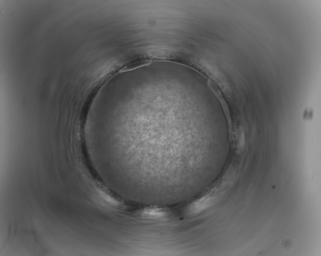 X0000094450117200711151436