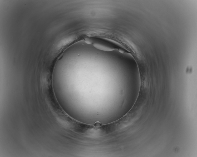 X0000094450119200711151436