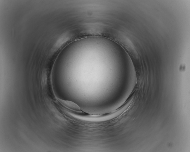X0000094450120200711151436