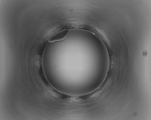 X0000094450121200711151436