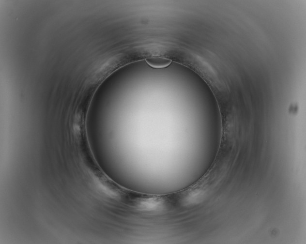 X0000094450122200711151436