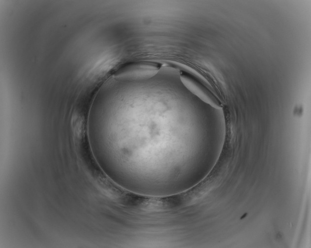 X0000094450123200711151436