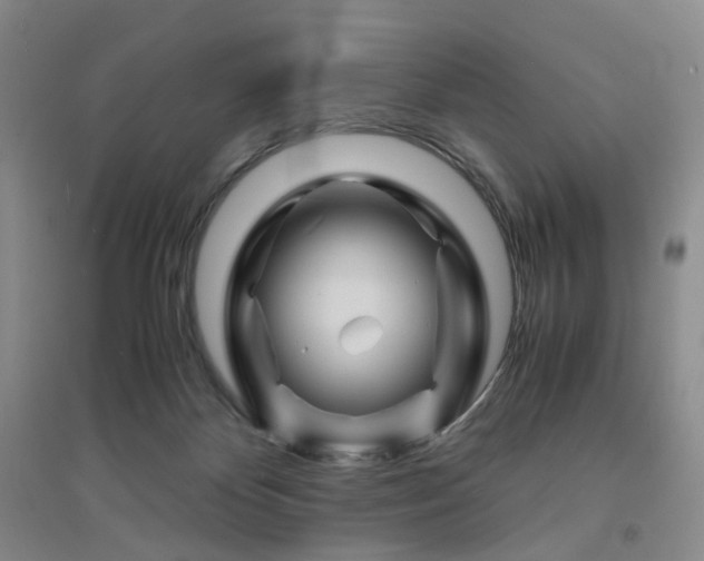 X0000094450124200711151436