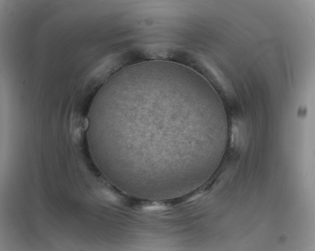 X0000094450125200711151436