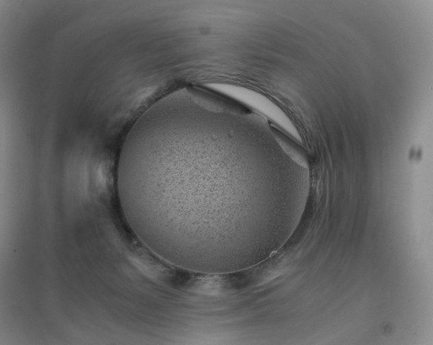 X0000094450127200711151436