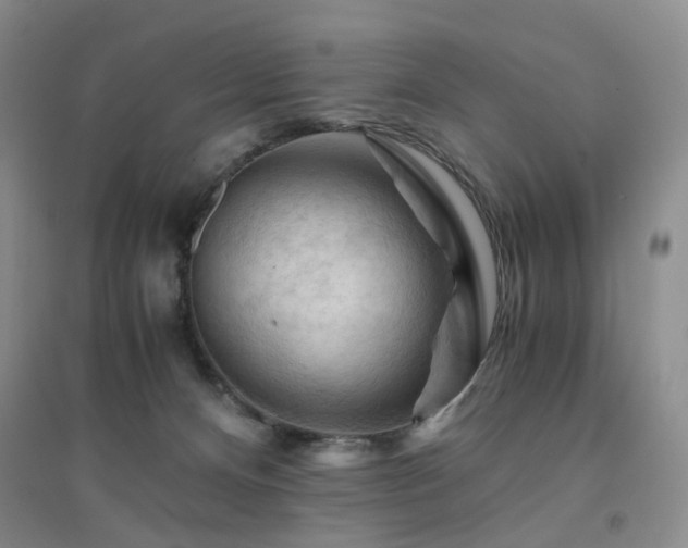 X0000094450128200711151436