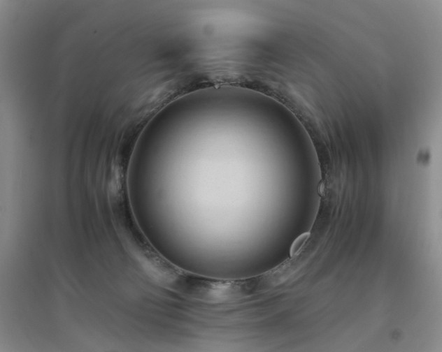 X0000094450130200711151436