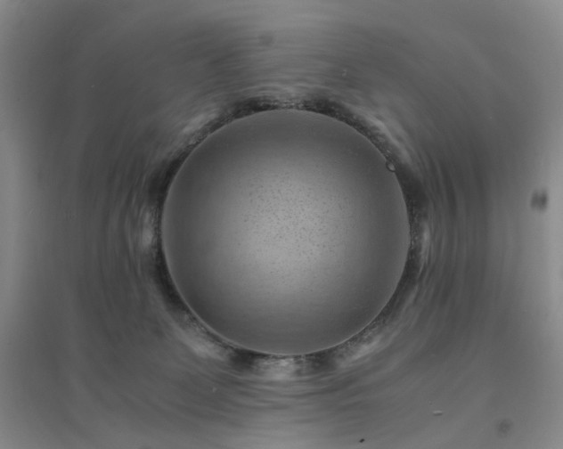 X0000094450131200711151436