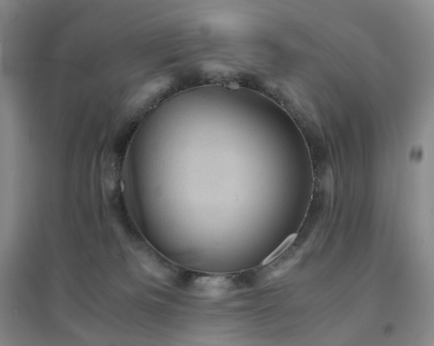 X0000094450133200711151436