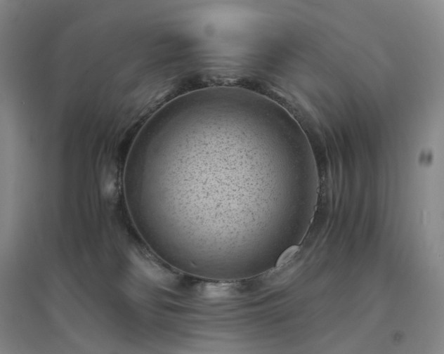 X0000094450134200711151436