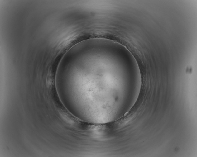 X0000094450135200711151436