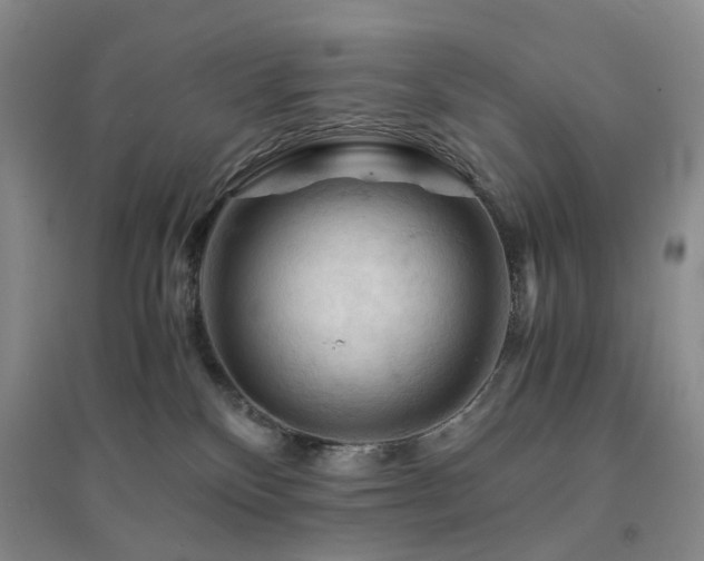 X0000094450136200711151436