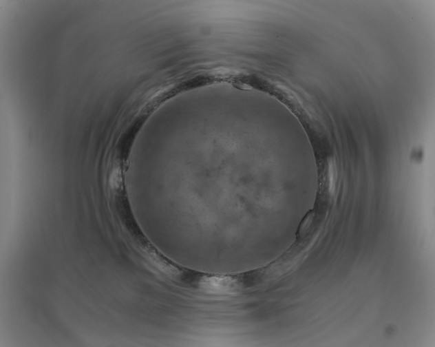 X0000094450137200711151436