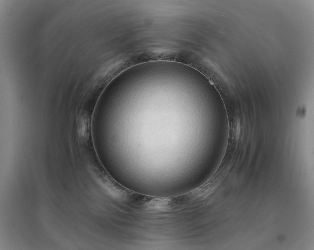 X0000094450138200711151436