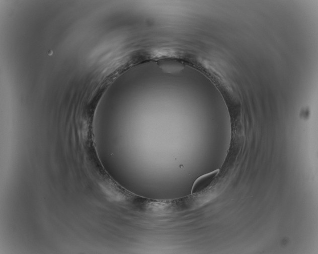 X0000094450139200711151436