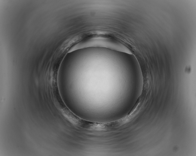 X0000094450140200711151436