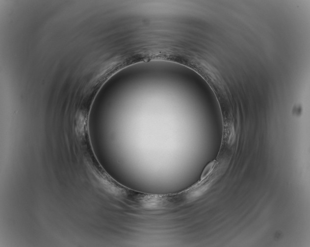 X0000094450142200711151435