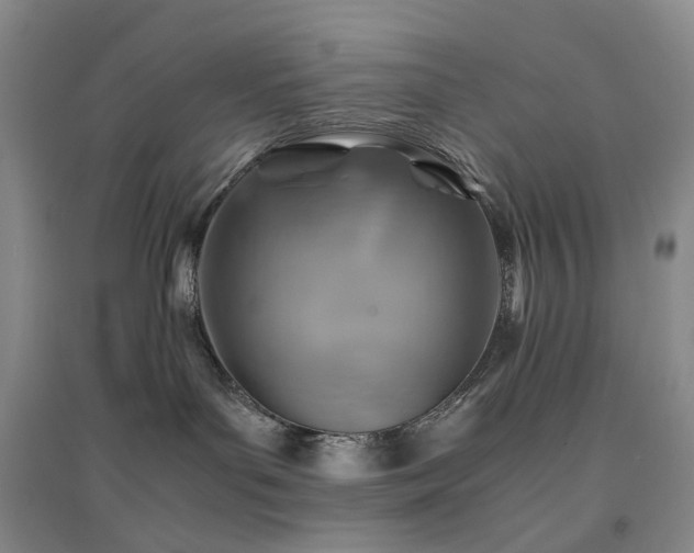 X0000094450143200711151435