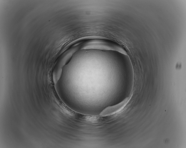 X0000094450144200711151435