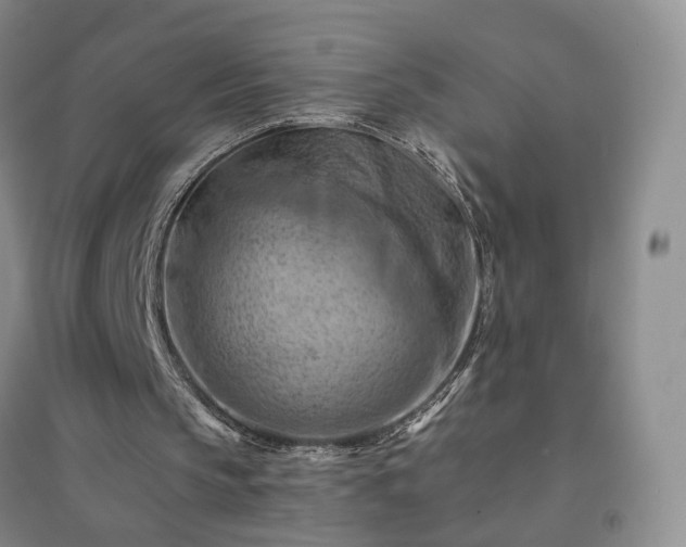 X0000094450145200711151435