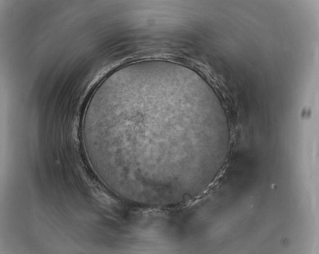 X0000094450146200711151435
