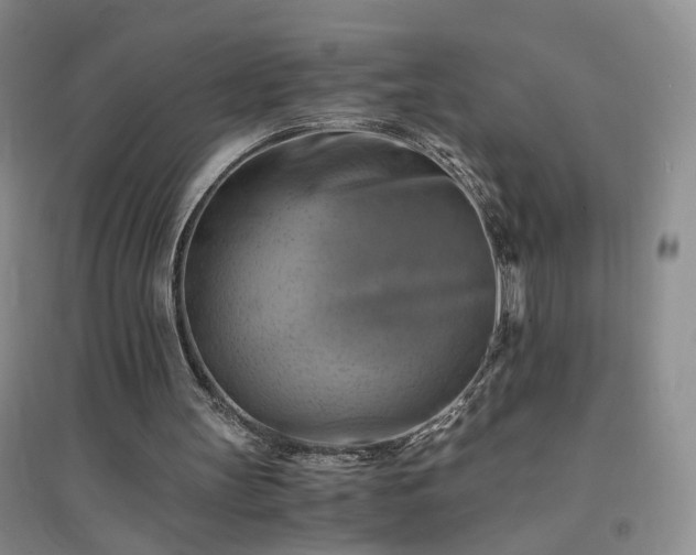 X0000094450147200711151435