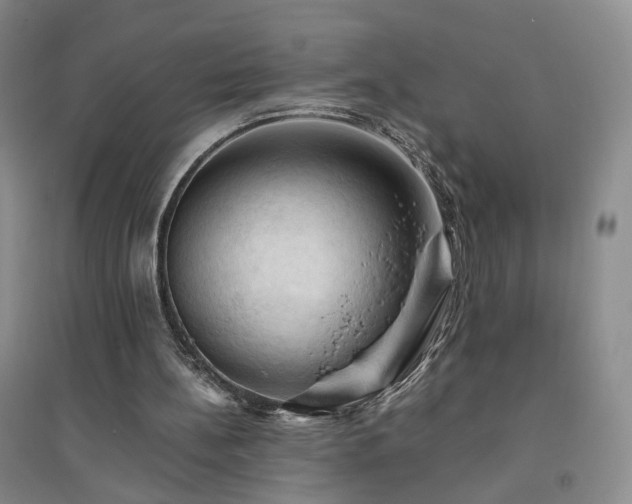 X0000094450148200711151435