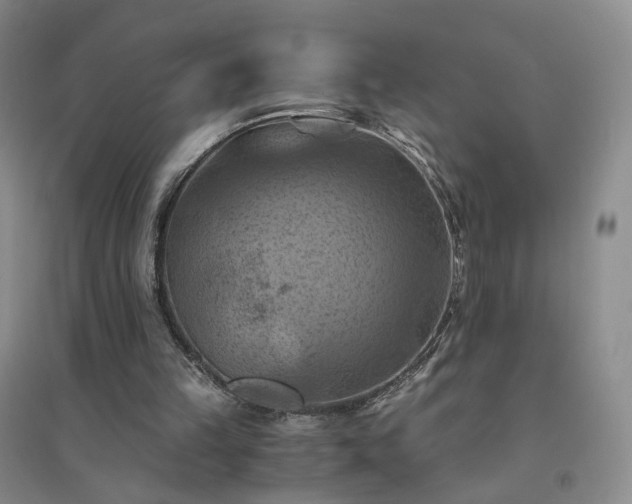 X0000094450149200711151435