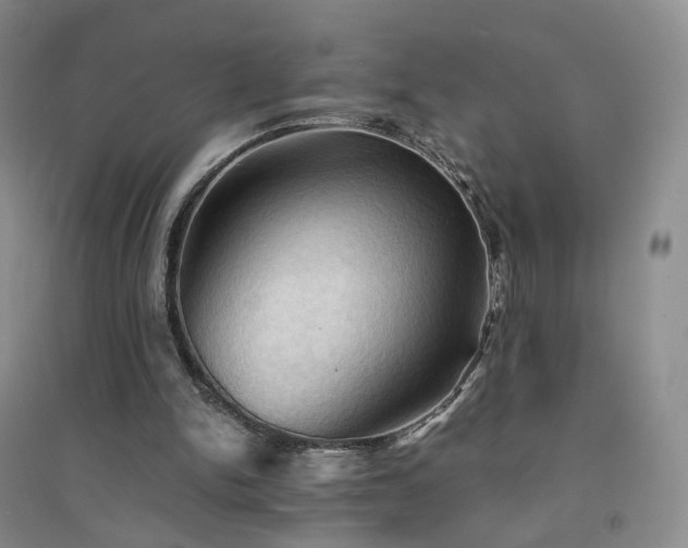 X0000094450150200711151435