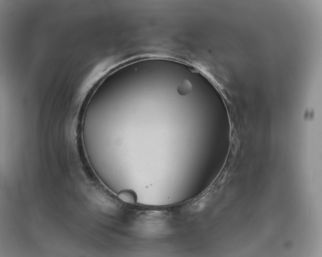 X0000094450151200711151435
