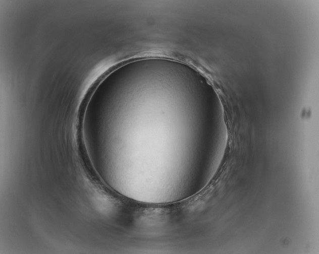 X0000094450152200711151435