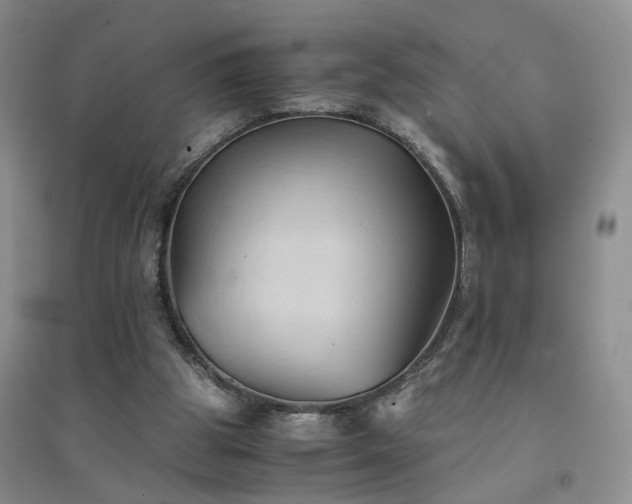 X0000094450153200711151435
