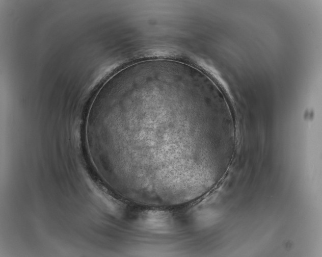 X0000094450154200711151435