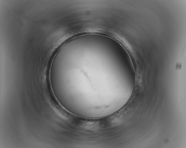 X0000094450155200711151435