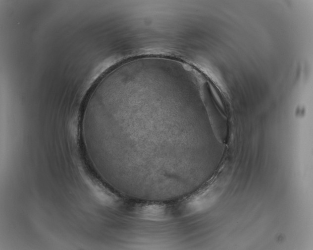 X0000094450156200711151435