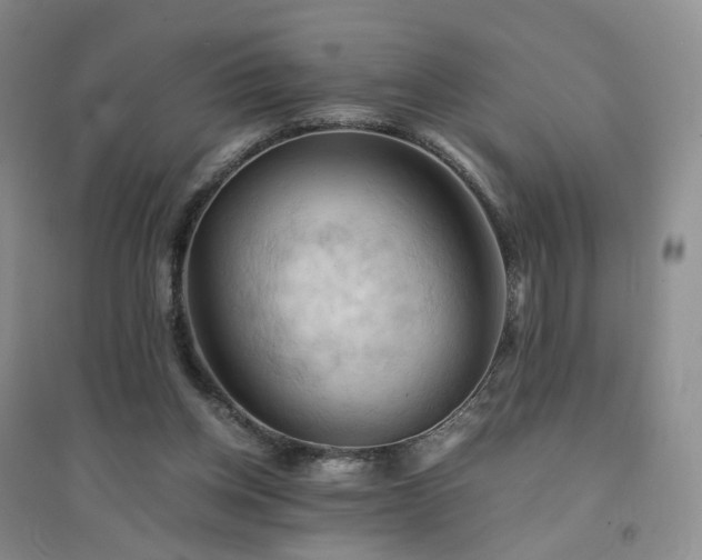 X0000094450158200711151435