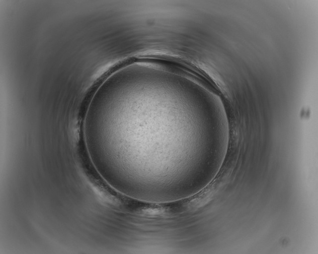 X0000094450160200711151435