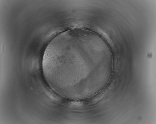X0000094450161200711151435