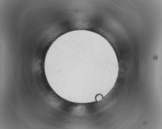 X0000094450162200711151435