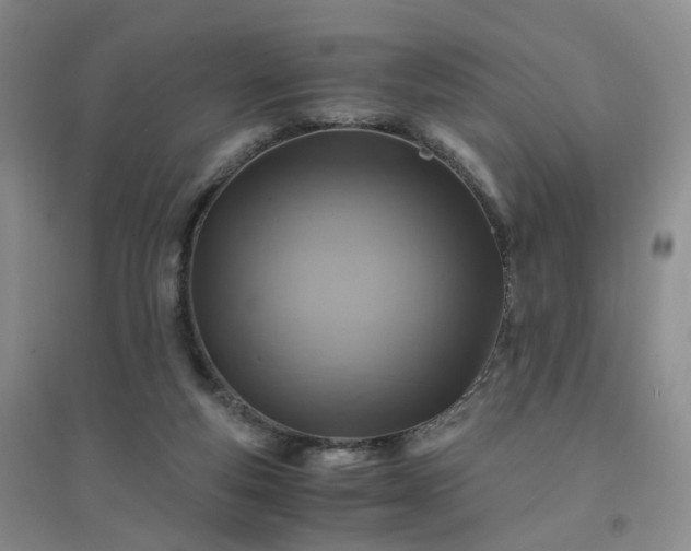 X0000094450163200711151435