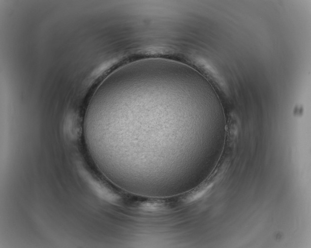 X0000094450164200711151435