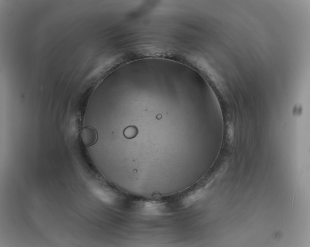 X0000094450165200711151435
