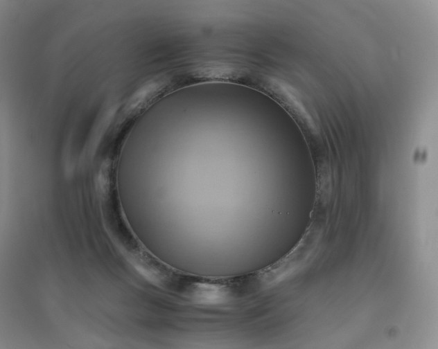 X0000094450167200711151435