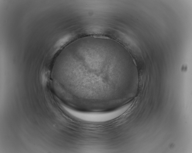 X0000094450168200711151435