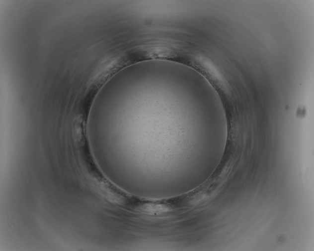 X0000094450169200711151435